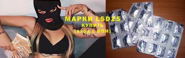 ПСИЛОЦИБИНОВЫЕ ГРИБЫ Беломорск